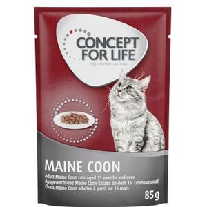 12x85g Maine Coon Adult (Ragout-Kwaliteit) Concept for Life Kattenvoer
