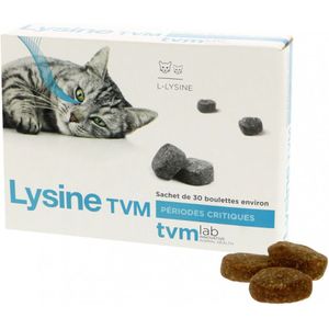 30 x 2 g TVM Lysine Cat aanvullend voer voor katten