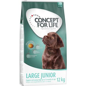 12kg Large Junior Concept for Life Hondenvoer droog