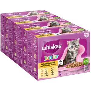 Whiskas Junior Maaltijdzakjes 48 x 85 g Kattenvoer - Gevogelte-selectie in gelei