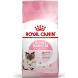 4kg Mother & Babycat Royal Canin Kattenvoer