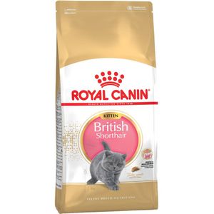 2kg British Shorthair Kitten Royal Canin Breed Kattenvoer