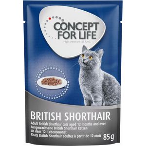 12x85g British Shorthair Adult (Ragout-Kwaliteit) Concept for Life Kattenvoer