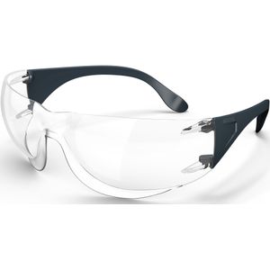 Moldex ADAPT 1K veiligheidsbril (141001)