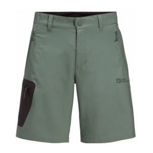 Korte Broek Jack Wolfskin Men Active Track Shorts Hedge Green-Maat 56