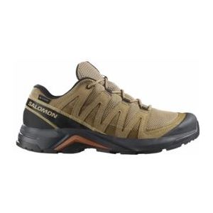 Wandelschoen Salomon Men X-Adventure Recon GTX Kelp/Kelp/Sierra-Schoenmaat 48