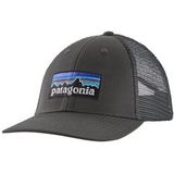Pet Patagonia P-6 Logo LoPro Trucker Hat Forge Grey