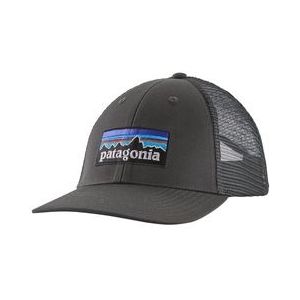 Pet Patagonia P-6 Logo LoPro Trucker Hat Forge Grey