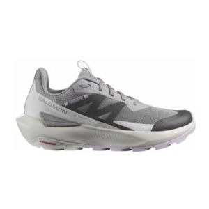 Wandelschoen Salomon Women Elixir Activ Sharkskin Glacier Gray Orchid Petal-Schoenmaat 42,5