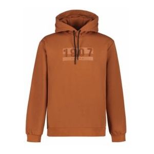 Hoodie Luhta Men Brakila Rust-S
