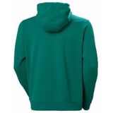 Helly Hansen - HH Logo Hoodie 2.0 - Hoodie - Smaragdgroen