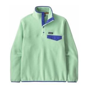 Trui Patagonia Men LW Synch Snap-T P/O Rinsed Green-XL