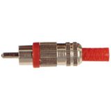 Tulp (m) audio/video connector - tot 6mm - metaal/plastic / rood