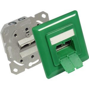 Premium CAT6 Gigabit netwerk inbouw wandcontactdoos met afdekplaat en 2 RJ45 poorten - afgeschermd / groen