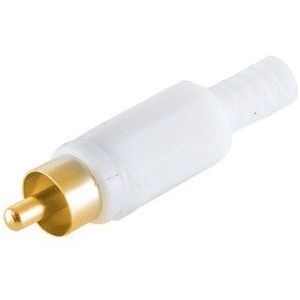 Tulp (m) audio/video connector - verguld - plastic / wit
