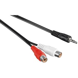 Adapter kabel 3,5mm mini Jack mannelijk - Tulp stereo 2RCA vrouwelijk - 3 meter