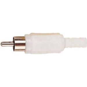 Tulp (m) audio/video connector - plastic / wit