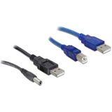 2x USB naar USB-B / DC kabel - USB2.0 - 0,30 meter