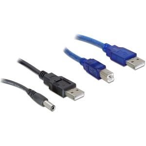 2x USB naar USB-B / DC kabel - USB2.0 - 0,30 meter