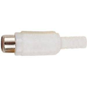 Tulp (v) audio/video connector - plastic / wit