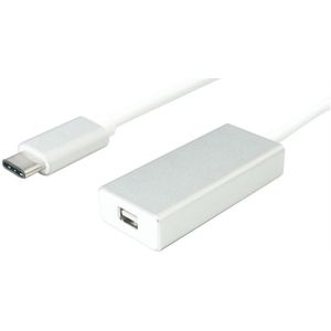USB-C naar Mini DisplayPort adapter (4K 60 Hz) / wit - 0,10 meter