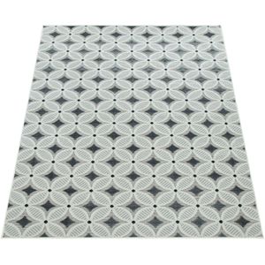 In- & Outdoor-Teppich Charlene grau 120x170 cm