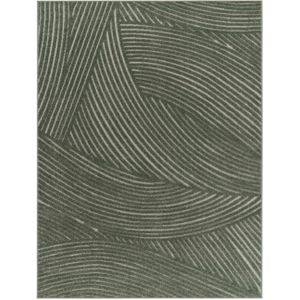 In- & Outdoor-Teppich Cotara grün 200x290 cm