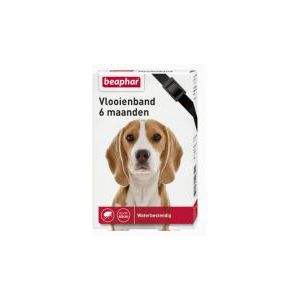 voor Honden | Lage prijs beslist.nl
