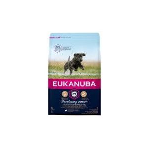 12 kg Eukanuba Junior Large