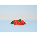 Schwarzkopf - Bonacure Root Activating Serum - 8x7ml