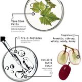 Framesi - Morphosis - Reinforcing Energizing Spray - 150ml