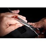 Kwip - Premium Schaar - Zilver - Japans Staal