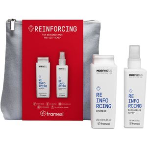Framesi Morphosis Reinforcing Set