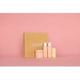 Elleure - Édifiant Cadeaupakket - Haarverzorging - 250ml Shampoo, 250ml Conditioner, 250ml Masker, 50ml Olie