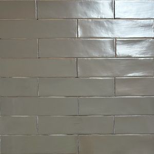 EQ Langwerpige witjes trendy zilver 7,5x30 cm handvorm wandtegel