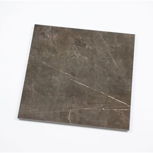 Vloertegel Ticino stone brons gepolijst 80x80 gerectificeerd