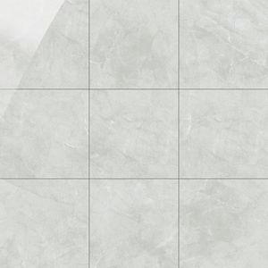 Vloertegel Tekali marmer licht grijs perla 60x60 gepolijst gerectificeerd