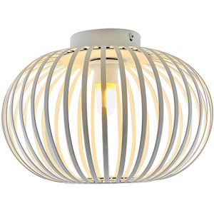 Industriële badkamer plafondlamp wit, Lieve, IP44