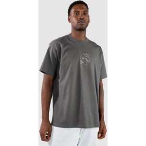 Iriedaily - New Theory - T-shirt - Grijs