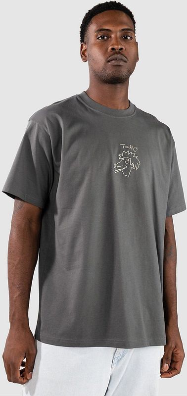 Iriedaily - New Theory - T-shirt - Grijs