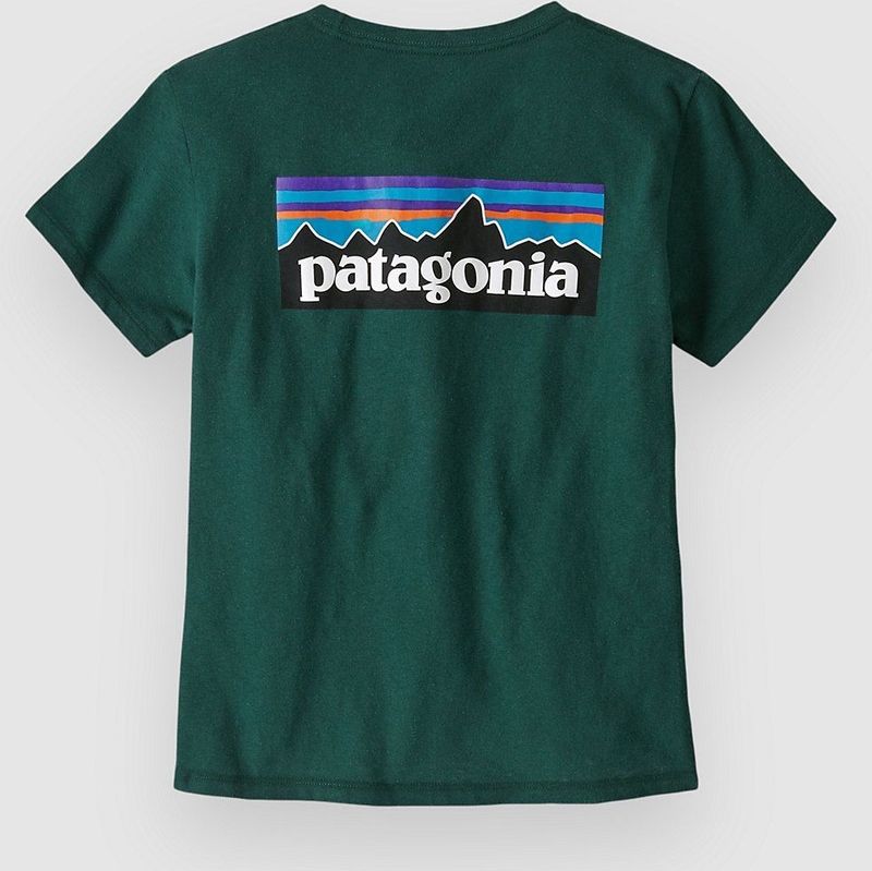 Patagonia Womens P-6 Logo Responsibili-Tee T-shirt (Dames |groen)