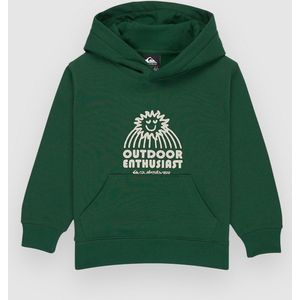 Quiksilver Graphic Kids Hoodie