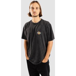 Dickies Icon Washed T-Shirt