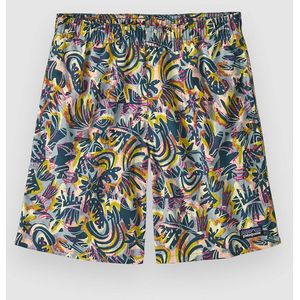 Patagonia - Boy's Baggies Shorts - Korte Broeken - Meerkleurig