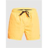 Quiksilver Everyday Volley 15 Boardshorts