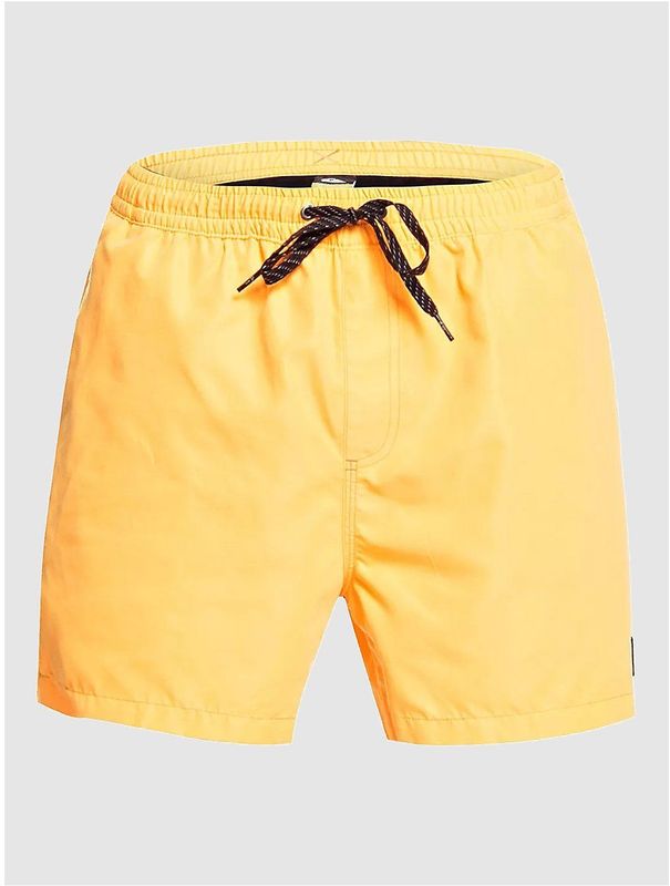 Quiksilver Everyday Volley 15 Boardshorts