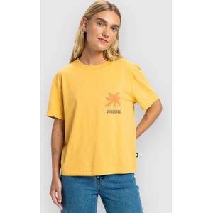 Quiksilver Standard T-Shirt