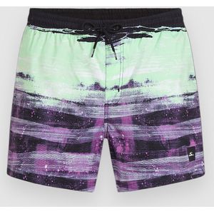 O'Neill Cali Gradient 15'' Boardshorts