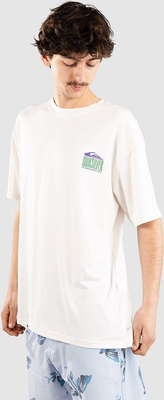 Quiksilver Everyday Surf Tee SS Zonnepak voor heren, 1 stuk