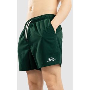 Oakley Clear Lake 16"Volley Boardshorts